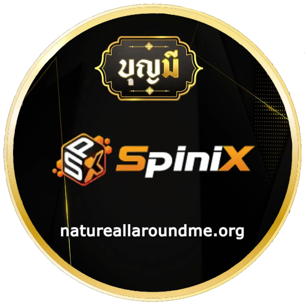 สล็อต บุญมี ไม่มีขั้นต่ำ