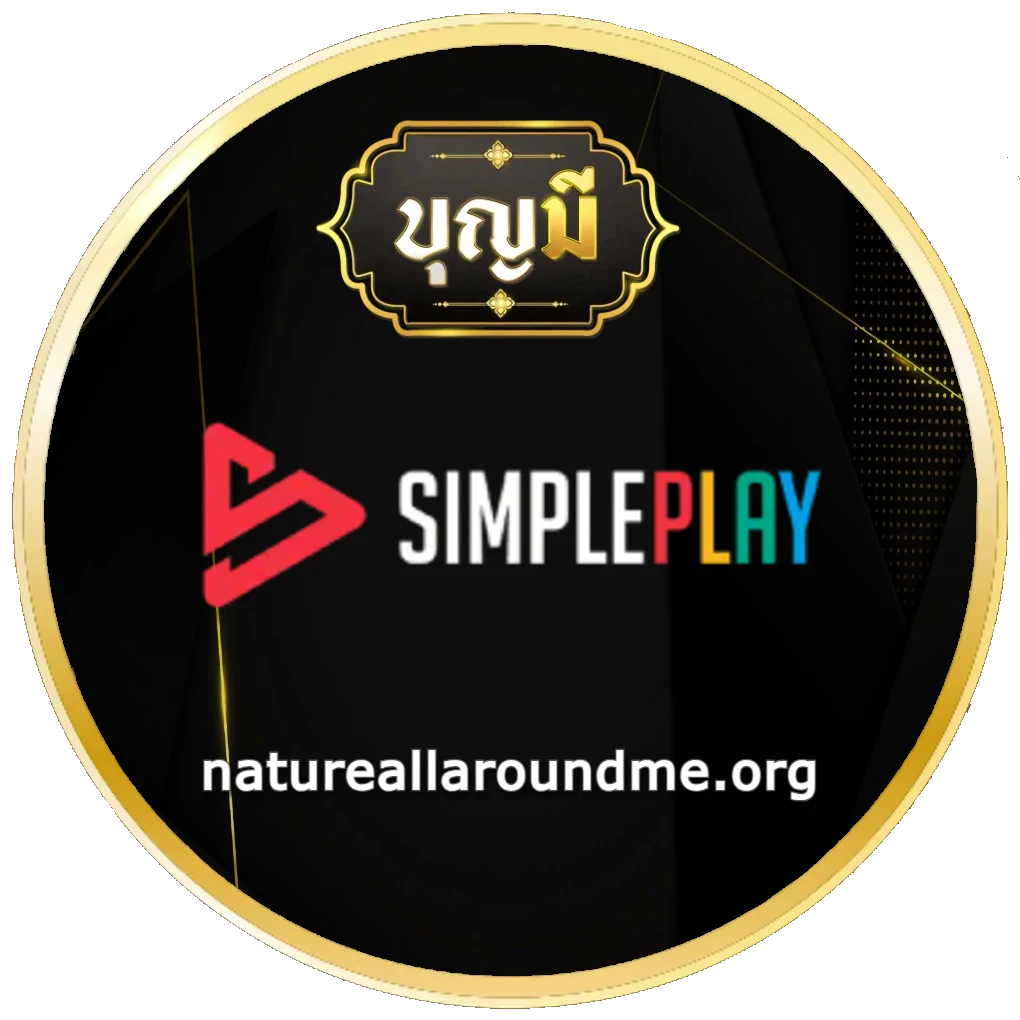 บุญมีสล็อต